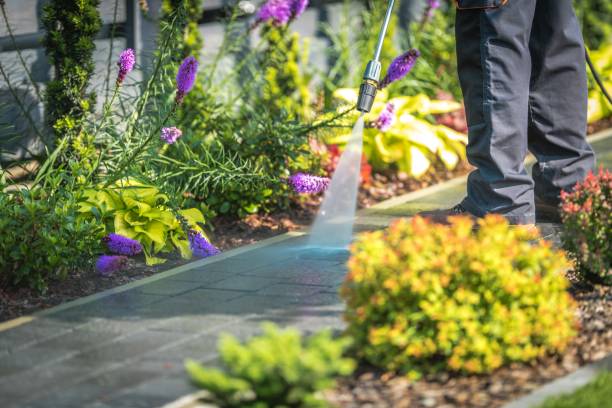 Best Patio and Deck Pressure Washing  in Crozet, VA